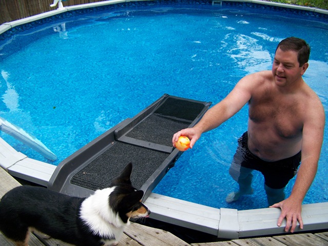 pet pool ramps for dogs